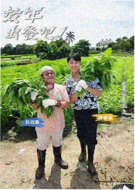 综艺厨房辩论会封面